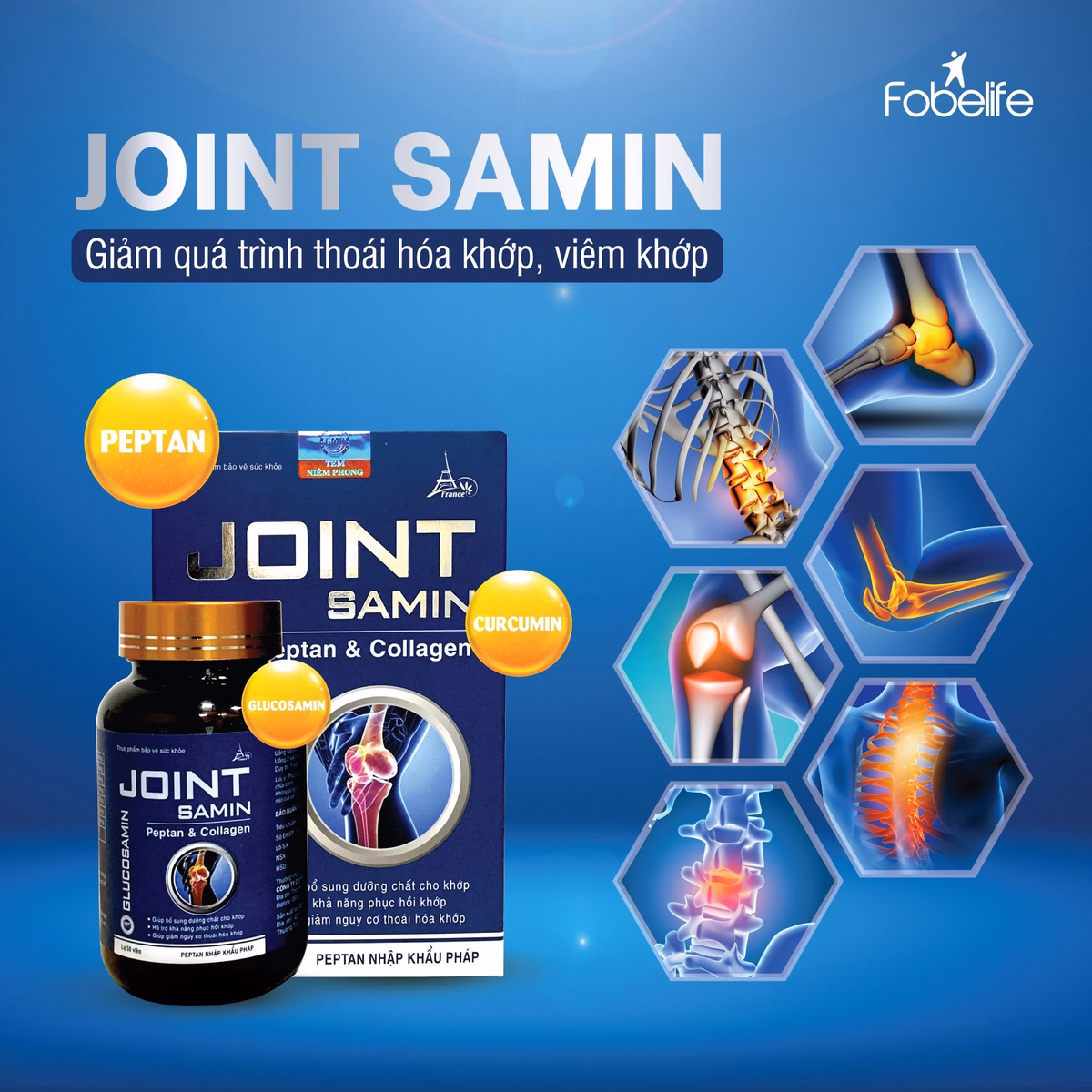 Viên Uống Giảm Thoái Hóa, Khô Cứng, Phục Hồi Xương Khớp Joint Samin - Fobelife - Ảnh 3