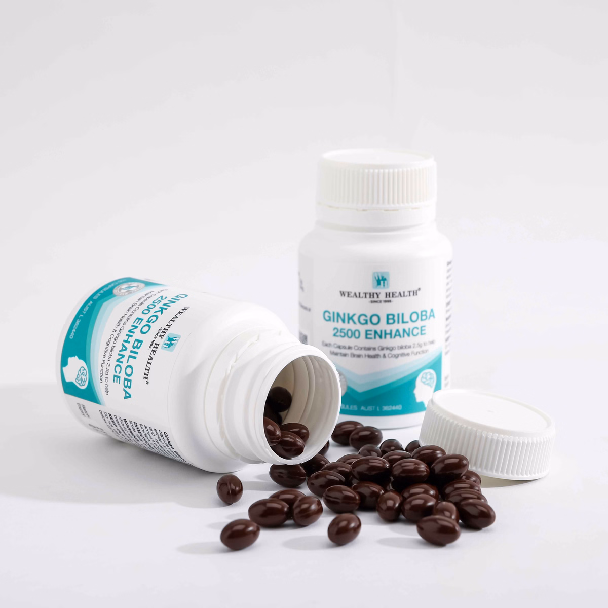 Thực Phẩm Bảo Vệ Sức Khỏe Ginkgo Biloba 2500 Enhance - Wealthy Health - Ảnh 3