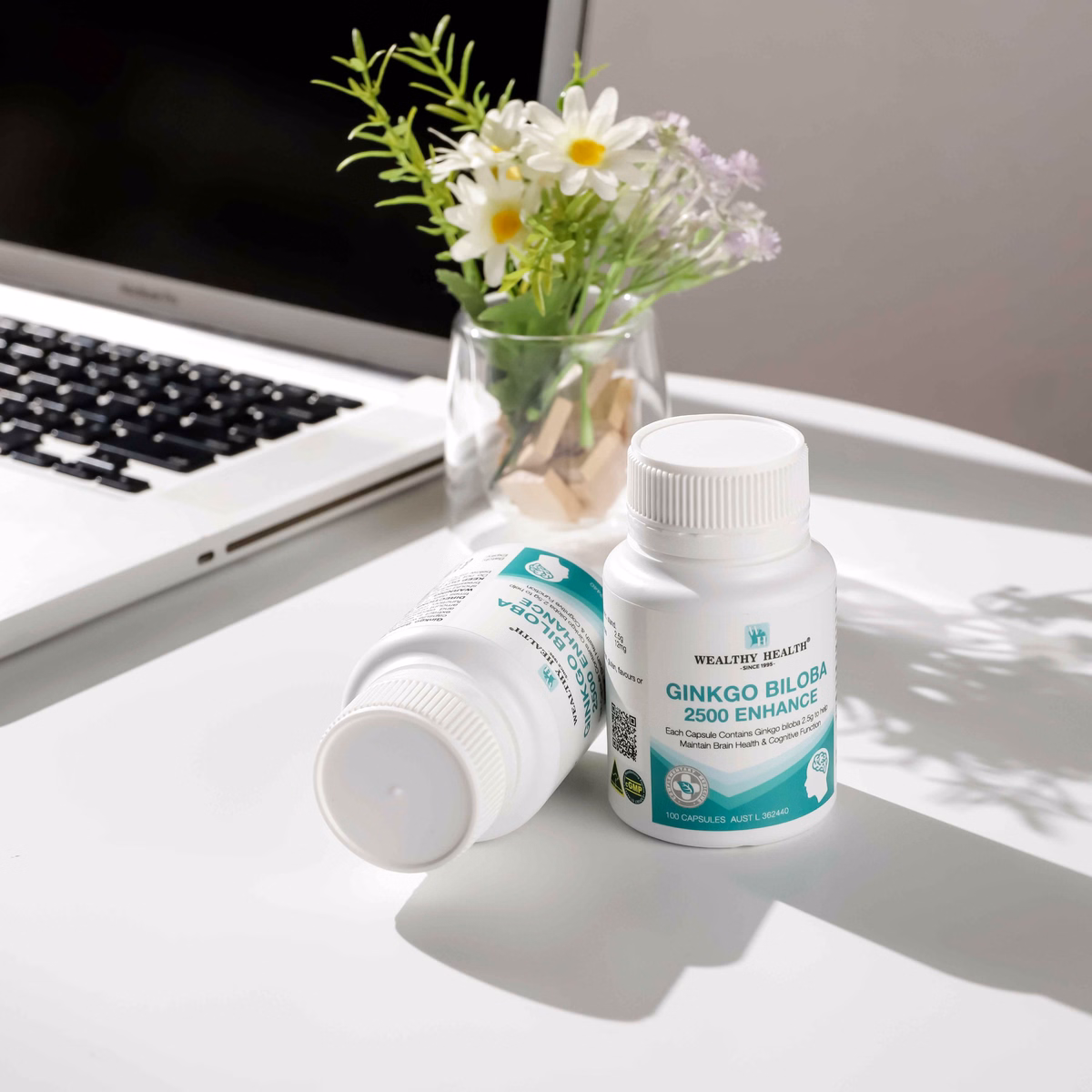 Thực Phẩm Bảo Vệ Sức Khỏe Ginkgo Biloba 2500 Enhance - Wealthy Health - Ảnh 8