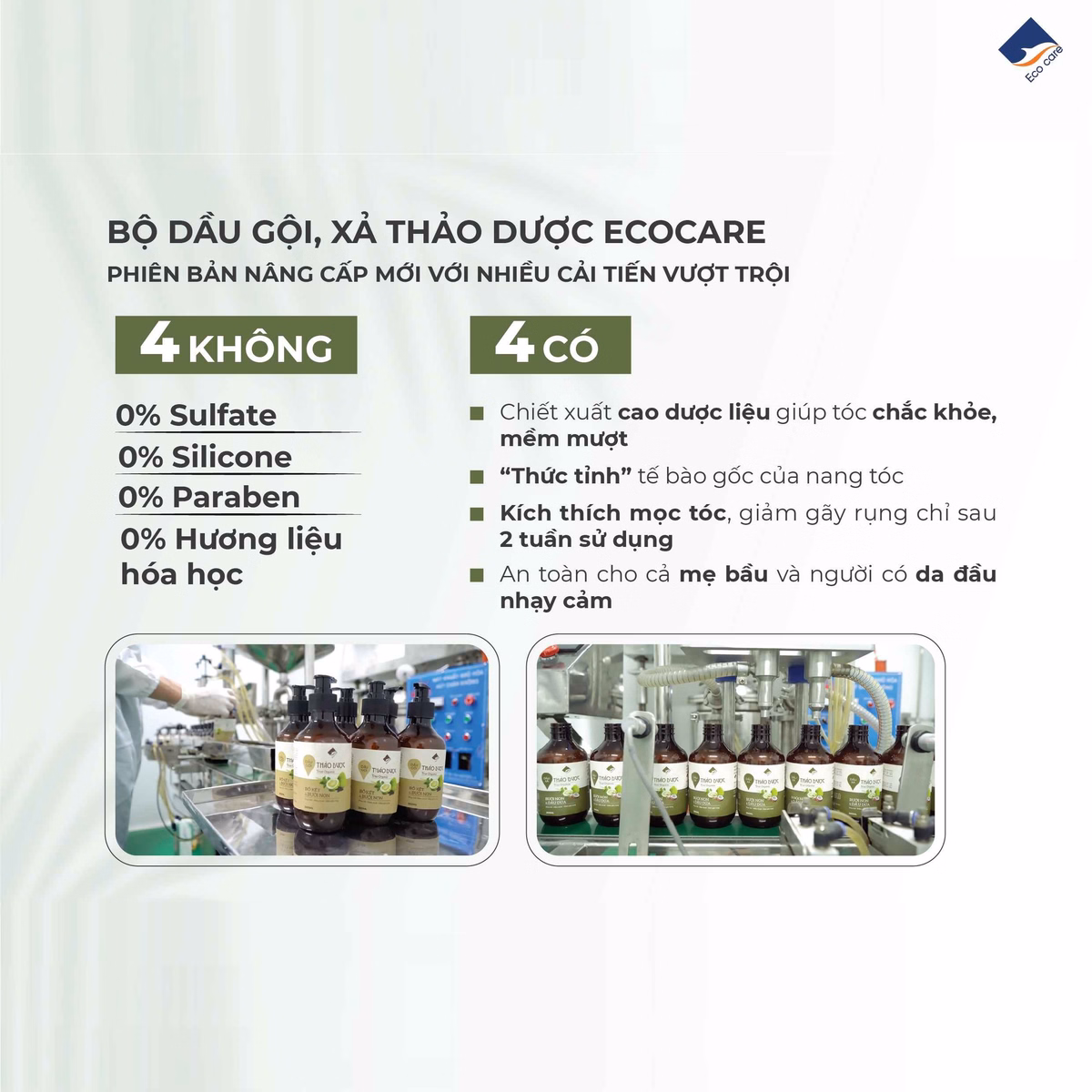 Dầu Gội Thảo Dược True Organic 300Ml - Ecocare - Ảnh 6