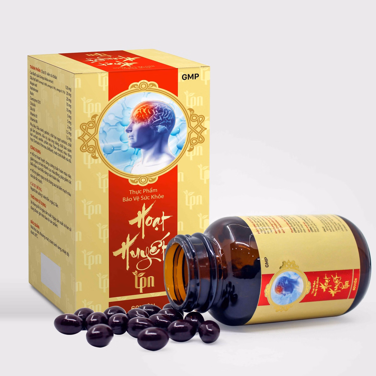 Hộp 60V Viên Uống Bổ Não Hoạt Huyết Tpn Thành Phần Chính Ginkgo Biloba - Tpn - Ảnh 4