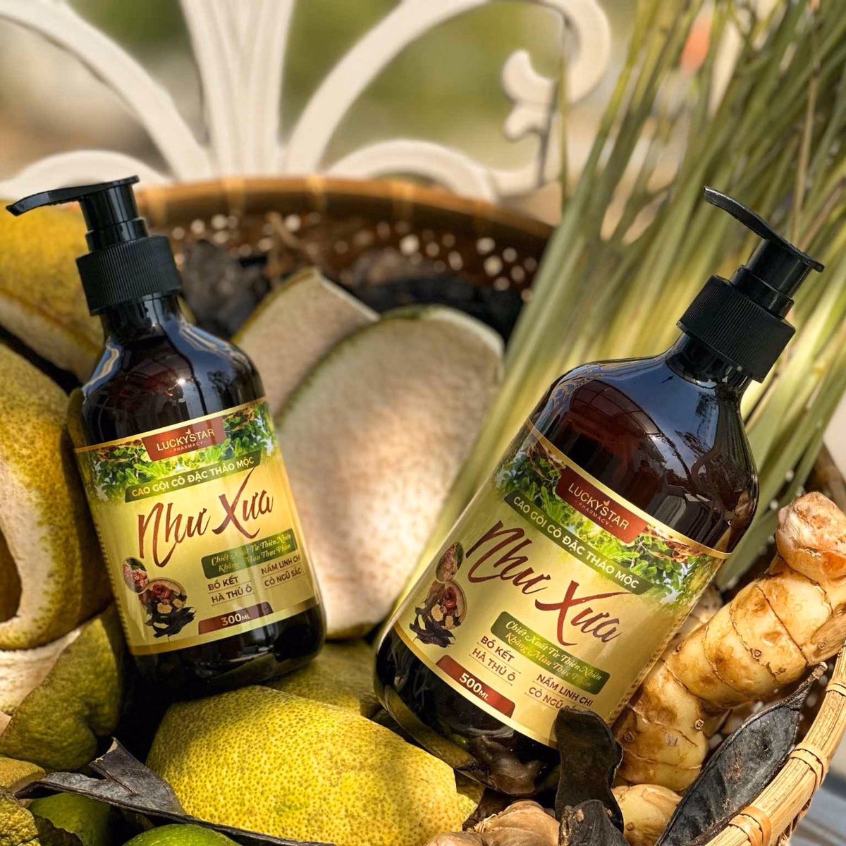 Cao Gội Cô Đặc Thảo Mộc Như Xưa - Lucky Star - Ảnh 17