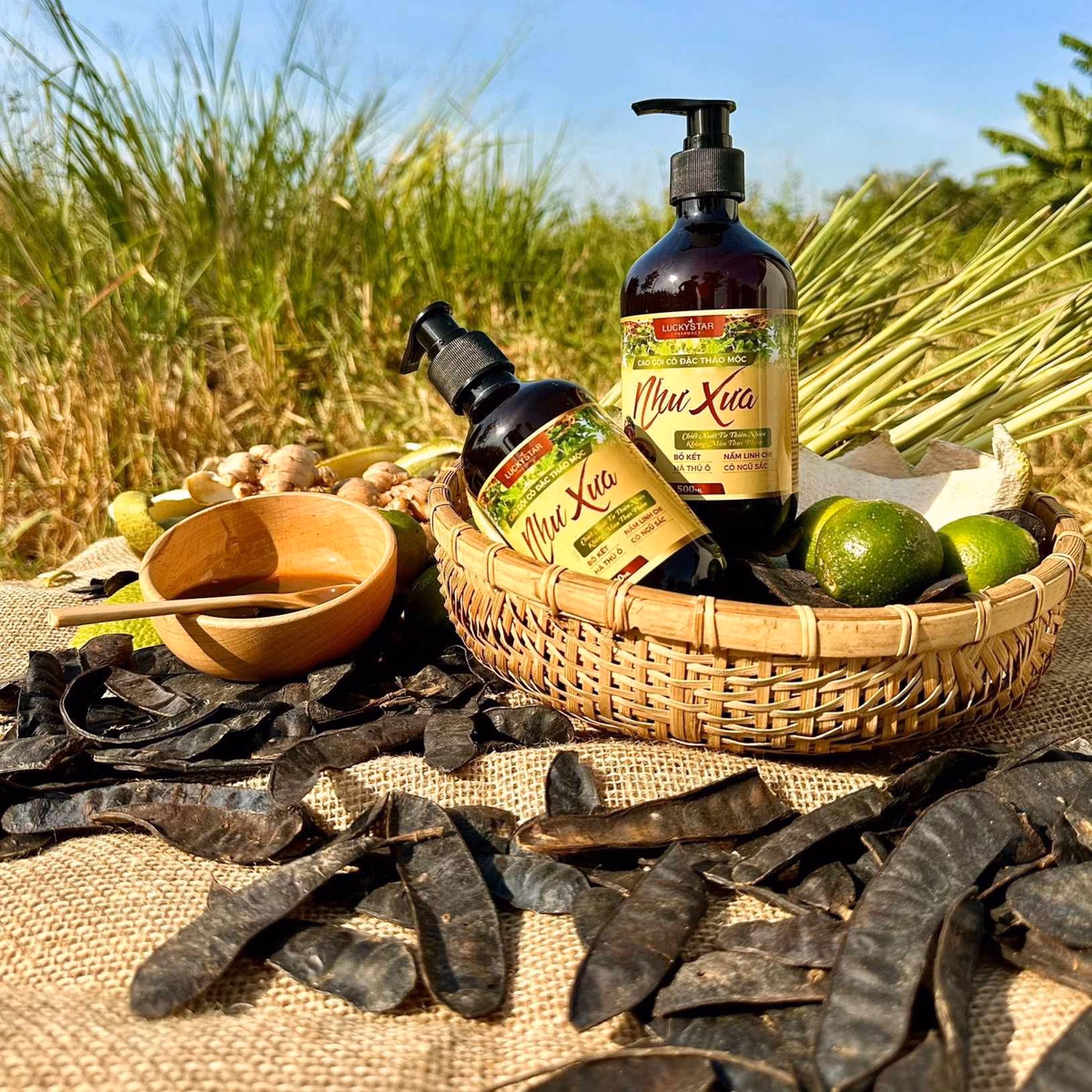 Cao Gội Cô Đặc Thảo Mộc Như Xưa - Lucky Star - Ảnh 9