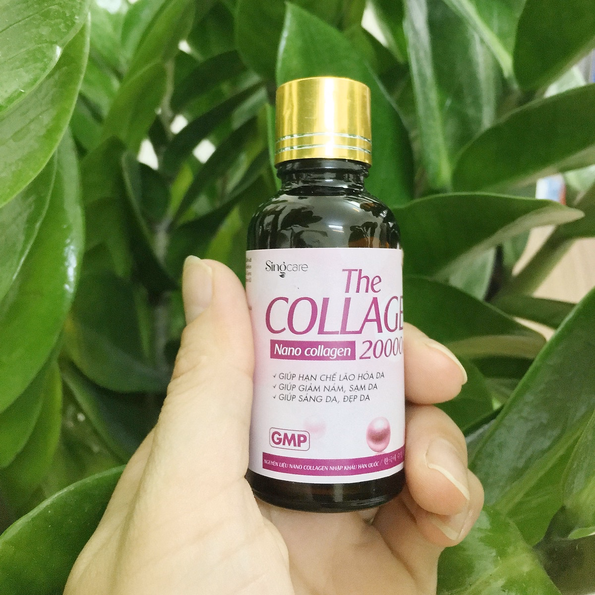 Combo 2 Hộp The Collagen 20000Mg Giảm Nám Da,Sạm Da, Chống Lão Hóa,Sáng Da, Đẹp Da - Singcare - Ảnh 7