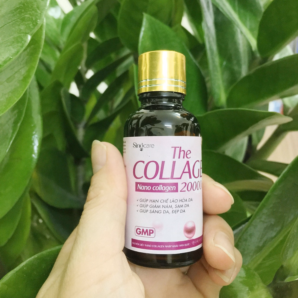 Combo 3 Hộp The Collagen 20000Mg Giảm Nám Da,Sạm Da, Chống Lão Hóa,Sáng Da, Đẹp Da - Singcare - Ảnh 11