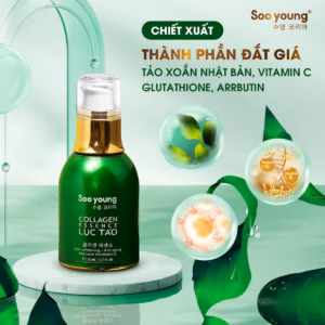 Serum Lục Tảo Collagen Essence - Soo Young