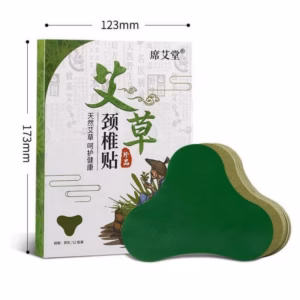 Hộp 12 Miếng Dán Vai, Thắt Lưng Đầu Gối - Gdn