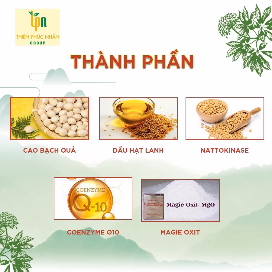 Hộp 60V Viên Uống Bổ Não Hoạt Huyết Tpn Thành Phần Chính Ginkgo Biloba - Tpn - Ảnh 5