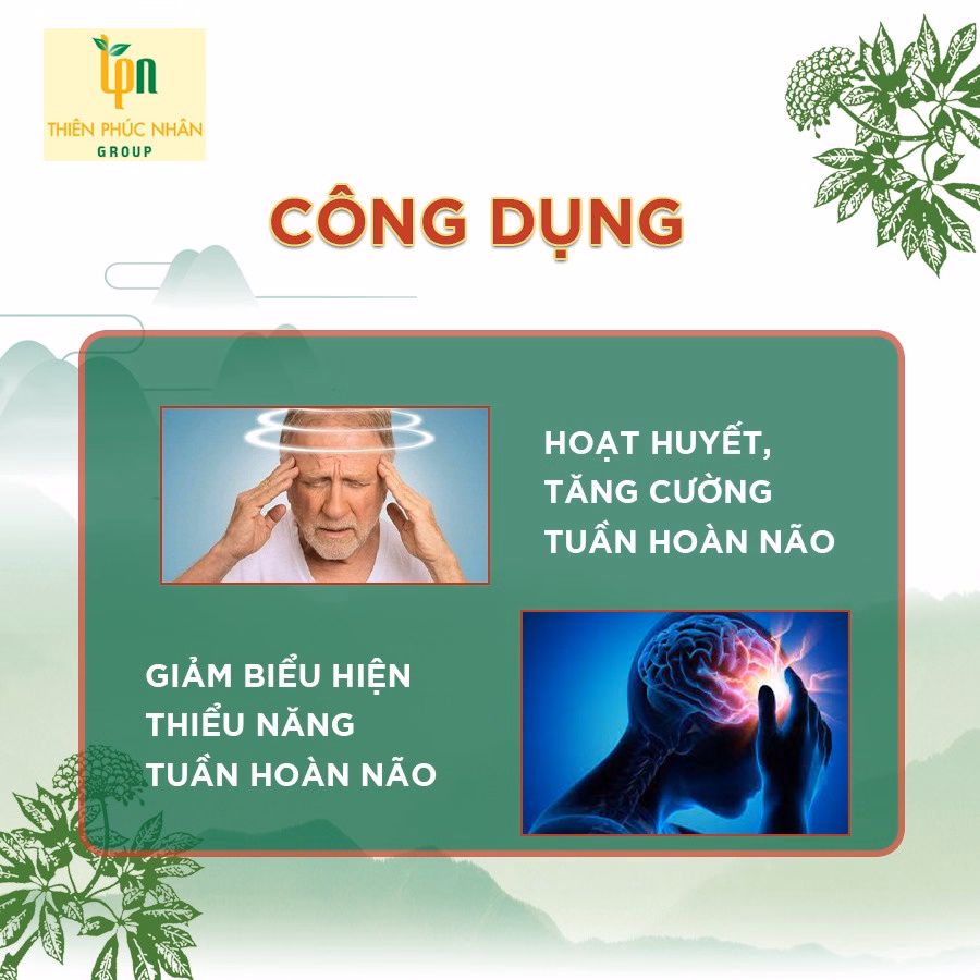 Hộp 60V Viên Uống Bổ Não Hoạt Huyết Tpn Thành Phần Chính Ginkgo Biloba - Tpn - Ảnh 2