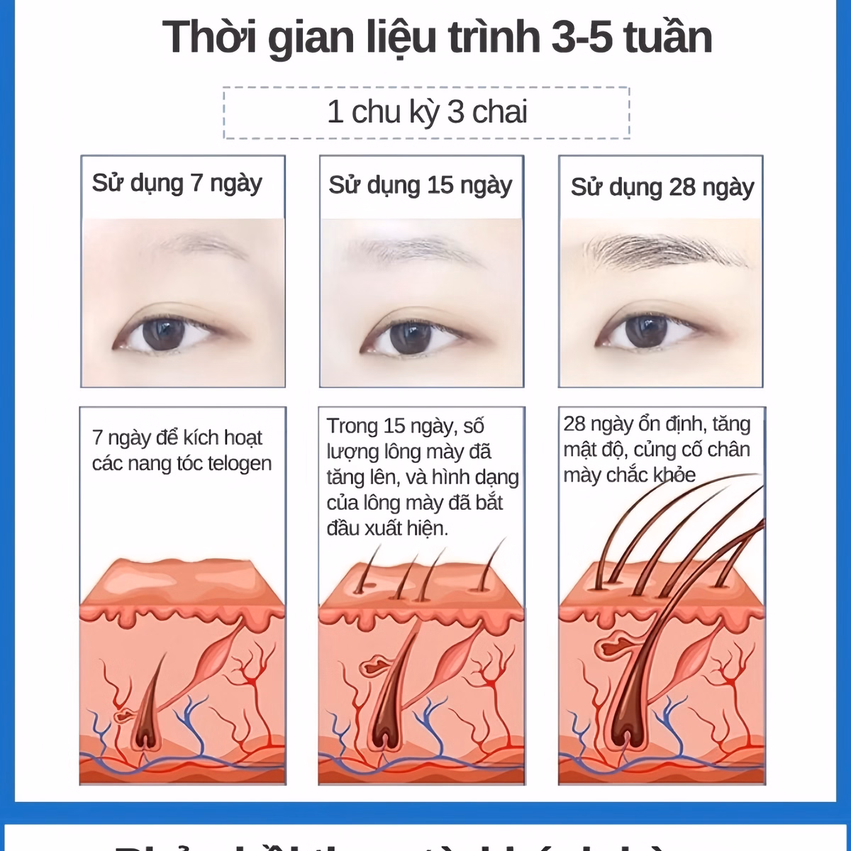 Dưỡng Mày Fkn - Mọc Lông Mày Dài, Dày, Chắc Khỏe Cực Hiệu Quả - Mỹ Phẩm 24H - Ảnh 13