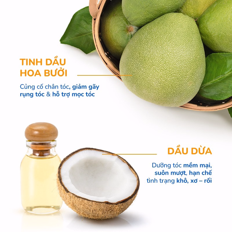 Bộ Đôi (Gội + Xả) Giảm Rụng Hỗ Trợ Mọc Tóc Gồm Dầu Gội Hoa Bưởi (250Ml) & Dầu Xả Hoa Bưởi Neo Nature (250Ml) - Neoneture - Ảnh 6