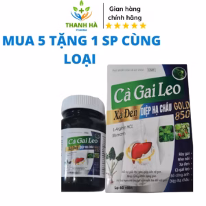 Cà Gai Leo Giải Độc Gan,Tăng Cường Chức Năng Gan, Giảm Khó Tiêu,Men Gan Cao - Bsc
