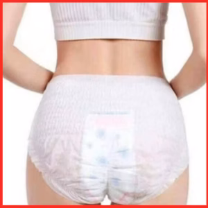 [ Túi Trắng - 50 Miếng ] Bỉm, Băng Vệ Sinh Phụ Nữ Dạng Quần Ctb228 - Bechip
