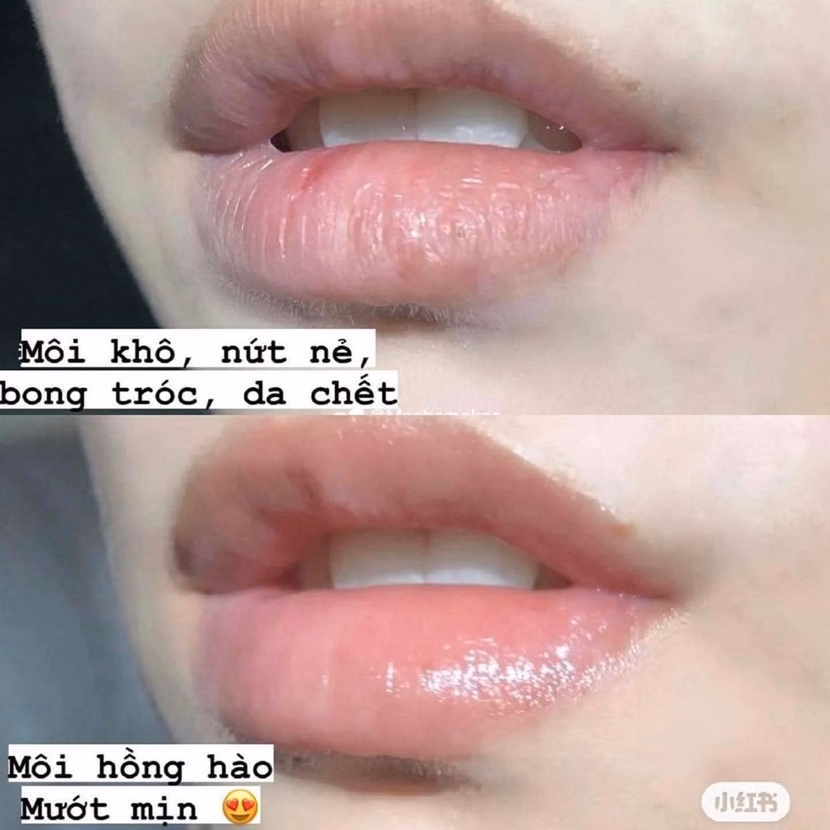 Son Dưỡng Mỡ Hươu Không Màu 4.7G - Astrid - Ảnh 6
