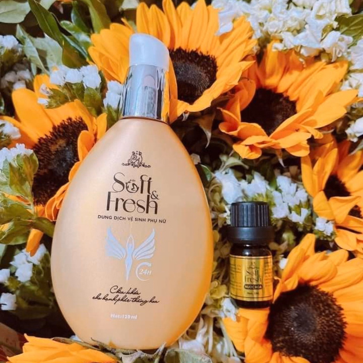 Dung Dịch Vệ Sinh Phụ Nữ Soft Fresh - Đông Anh Collagen X3 Kt1-Gdn - Ảnh 5