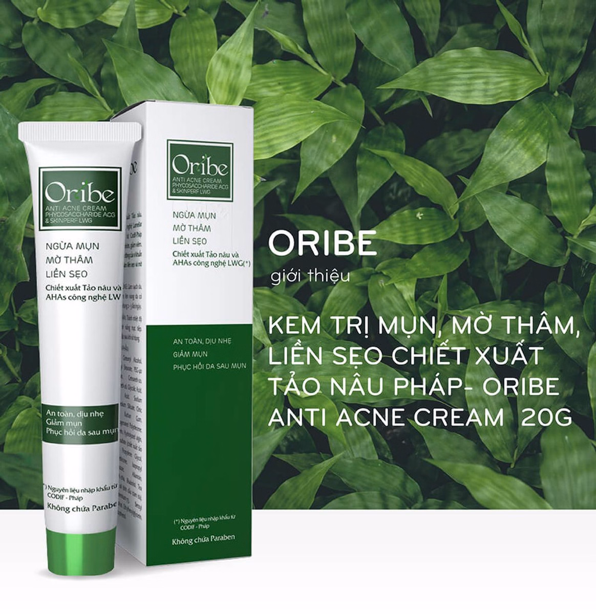 Kem Chấm Mụn Oribe Giảm Mụn Ẩn Mờ Thâm Liền Sẹo 20G - Ảnh 3