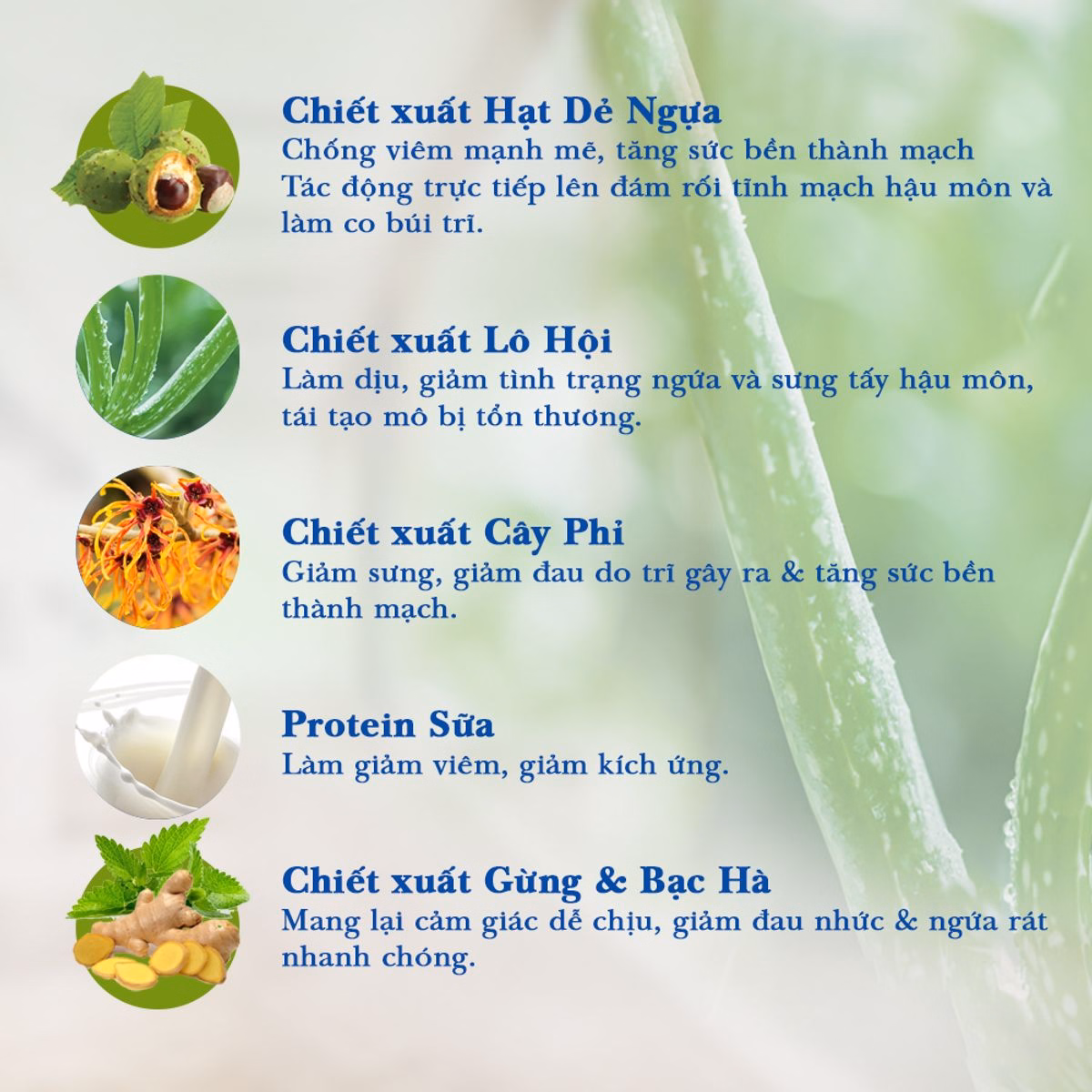 Gel Bôi Trĩ Trimaxgel Giúp Co Búi Trĩ, Giảm Sưng Đỏ Và Ngứa Rát Hậu Môn Do Trĩ 20G - Ảnh 3