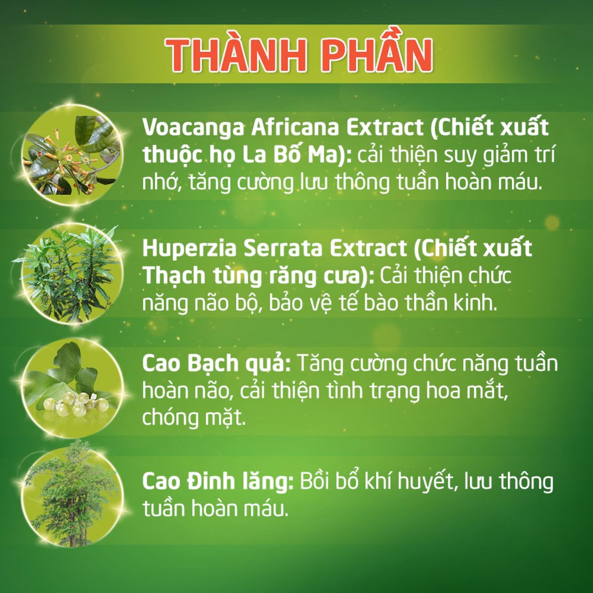 Hoạt Huyết Minh Não Khang Extra - Dân Khang - Ảnh 5